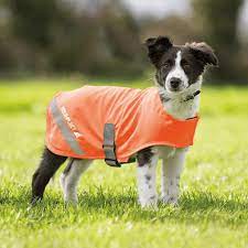 Shires Equi-Flector Dog Safety Vest