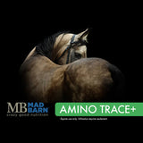 Mad Barn AminoTrace+